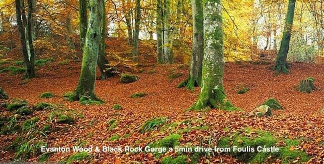 Foulis Castle Gate Lodge Evanton Bagian luar foto