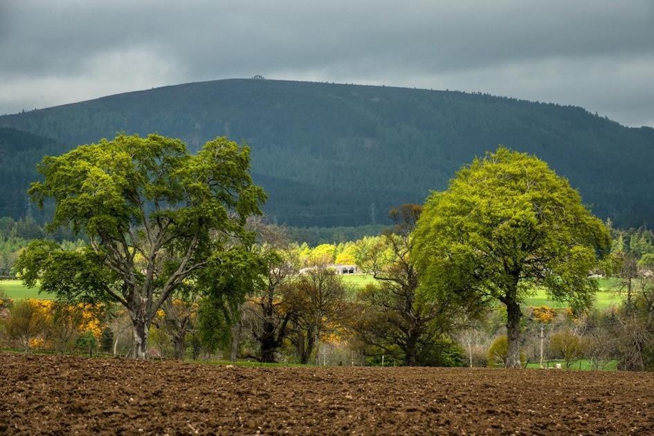 Foulis Castle Gate Lodge Evanton Bagian luar foto